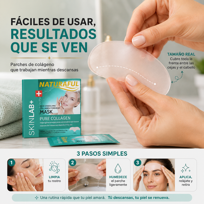 Parches colageno absorbentes